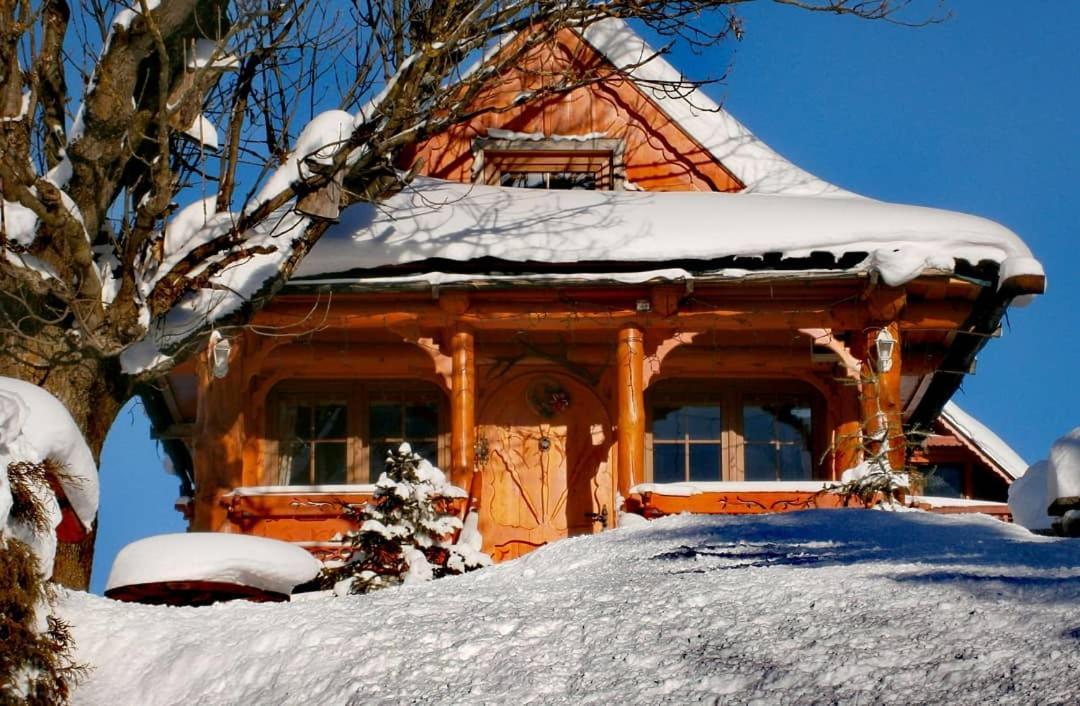 Villa Chalupka U Lisky Elisky à Ždiar Extérieur photo